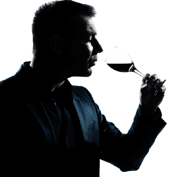 Wine Tasting Drink - man taking drink of wine